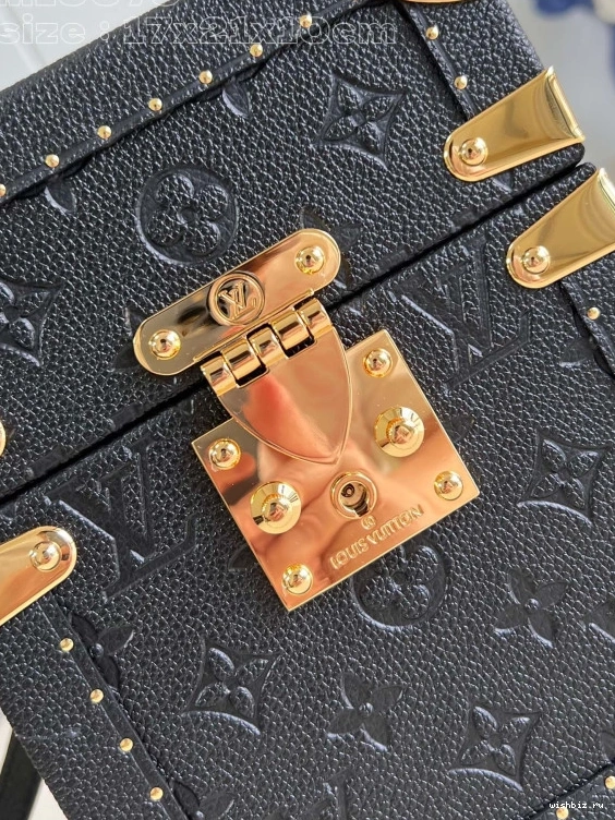 WIS VUITTON Monogram Canvas Box Camera LOUIS 0303